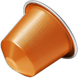 Lungo Linizio
