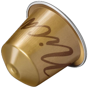 Master Origin Nicaragua
